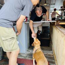Roy Moore Lobster Co restaurant view 1