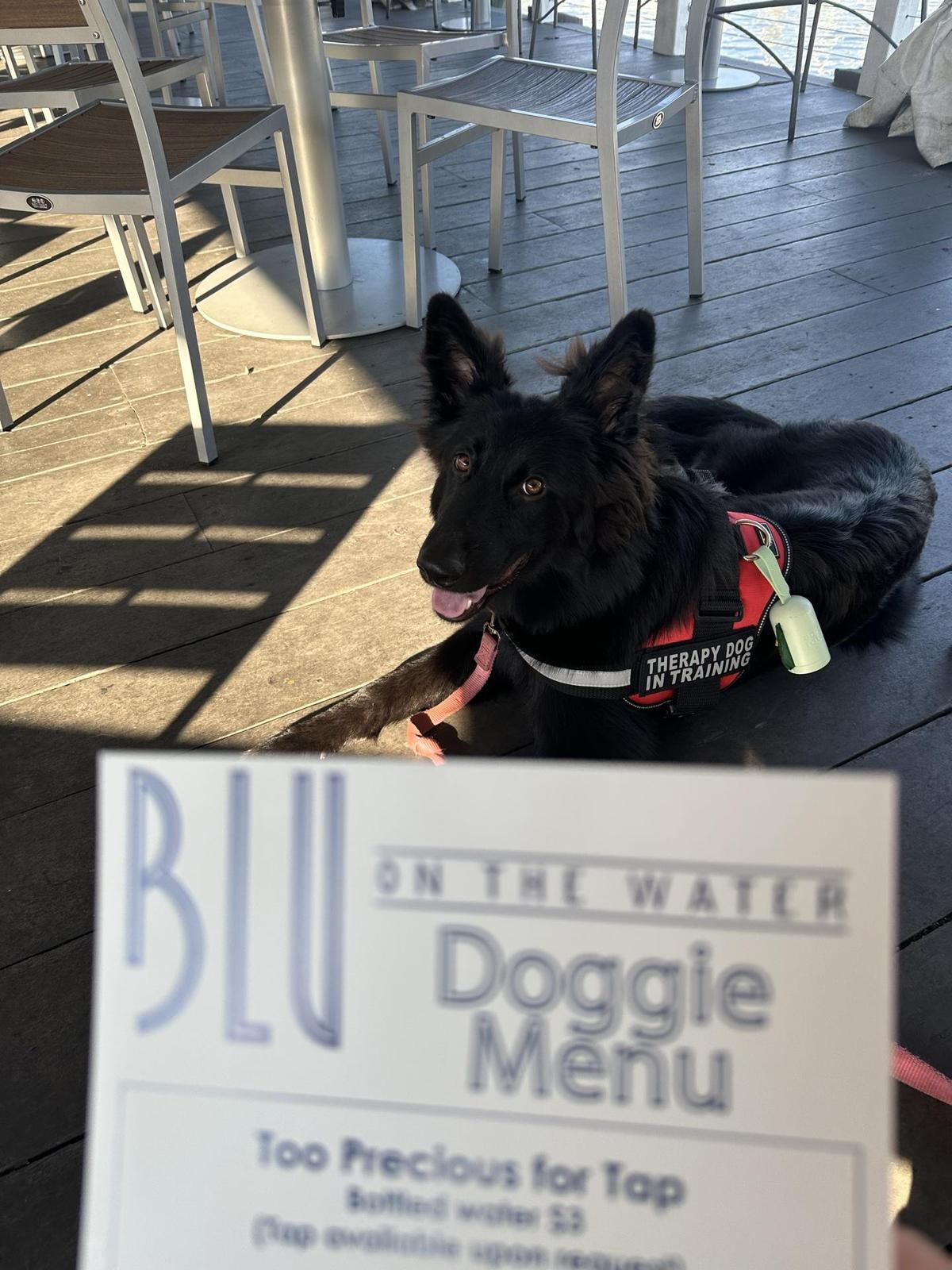 BLU on the Water restaurant view 1