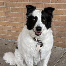 McKinneys Pub restaurant view 1