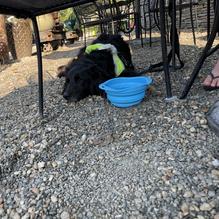 The Station on Kings restaurant view 2