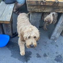 Waterfront Warehouse restaurant view 2