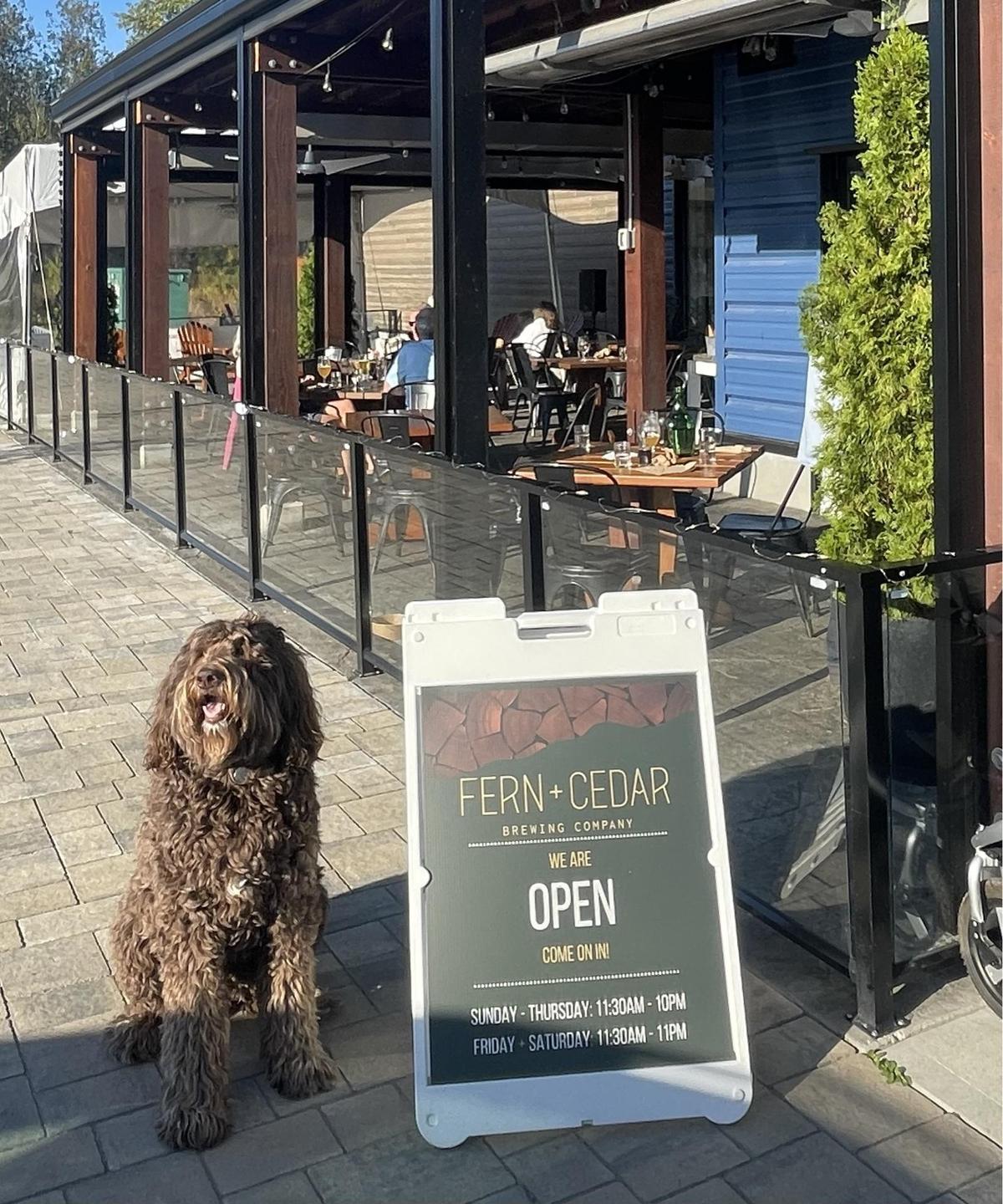 Fern + Cedar Brewing Company restaurant view 1
