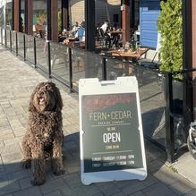 Fern + Cedar Brewing Company restaurant view 1