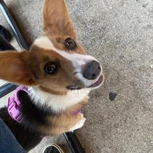 Twenty Tap restaurant view 1