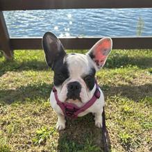 The Quarry restaurant view 1