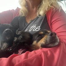 The Landings restaurant view 1