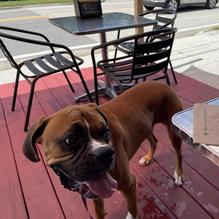 Bad As's Sandwich restaurant view 1