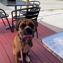 Bad As's Sandwich restaurant view 2