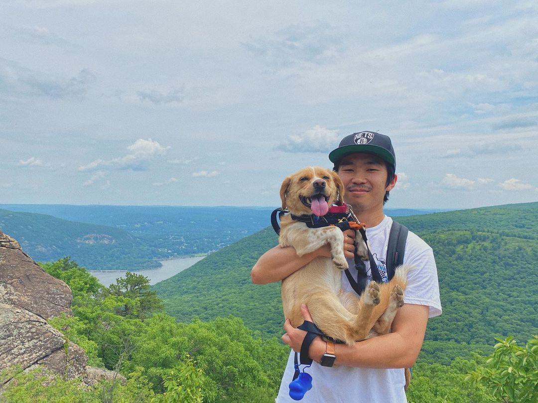 Dog Park King of the Hill