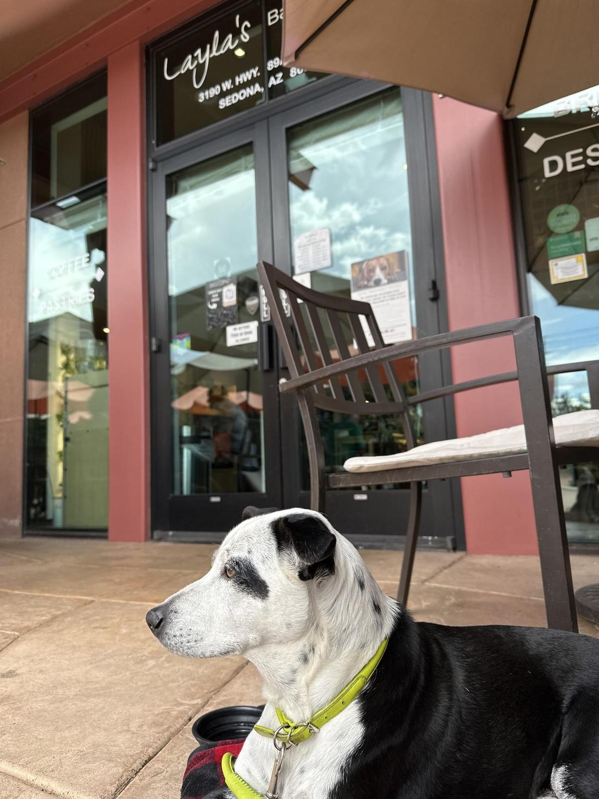 Layla's Bakery-Cafe restaurant view 1