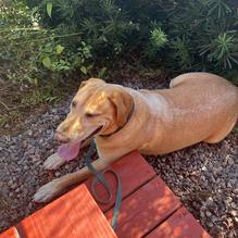 Coastal Coffee Roasters restaurant view 1