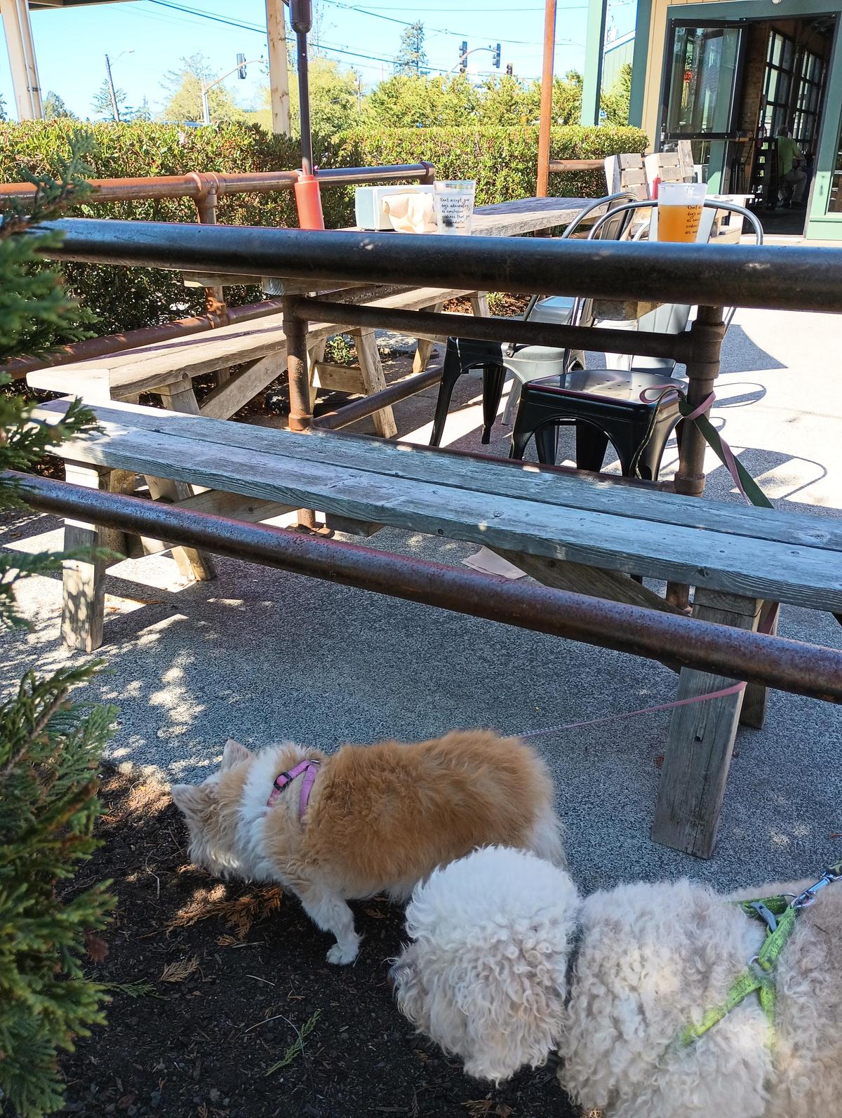 Ruby's Roadside Grill restaurant view 1