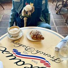 Costeaux French Bakery & Cafe restaurant view 2