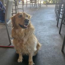 Groovy Goat restaurant view 2