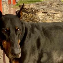 Big Hole BBQ Jackson restaurant view 1