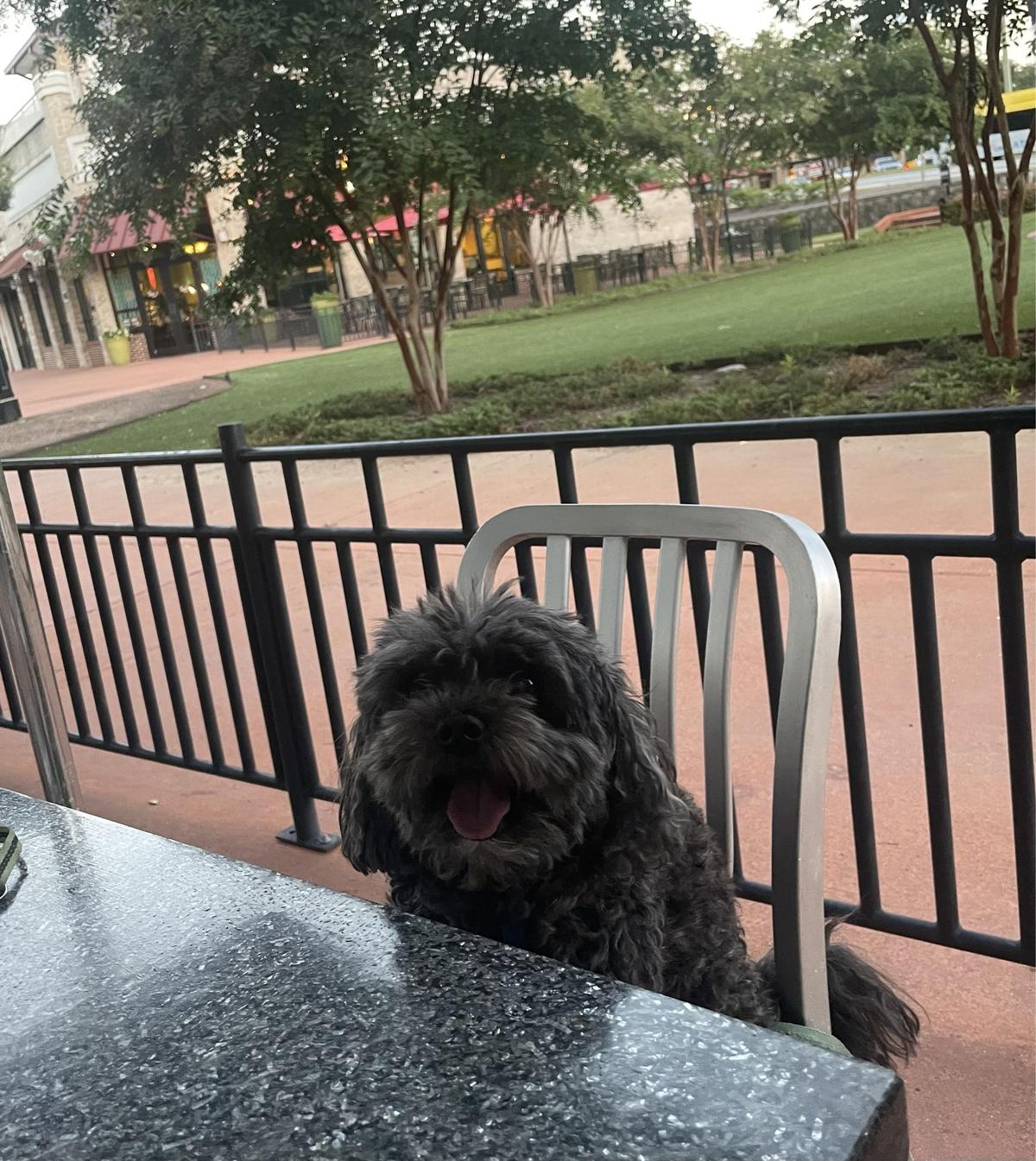 Bad Daddy's Burger Bar restaurant view 1