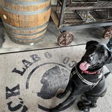 Black Lab Coffee Co Downtown restaurant view 1