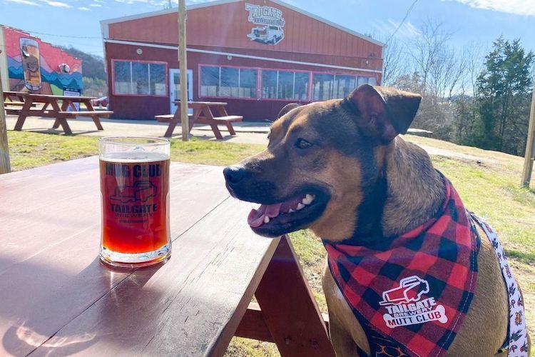 Pet Friendly TailGate Brewery