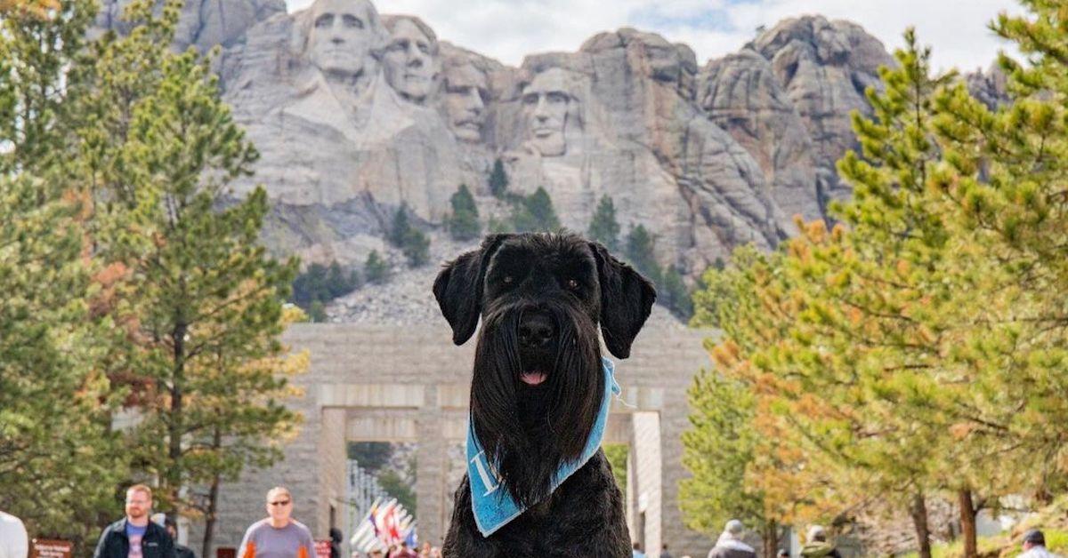 Can I Bring My Dog to Mount Rushmore?