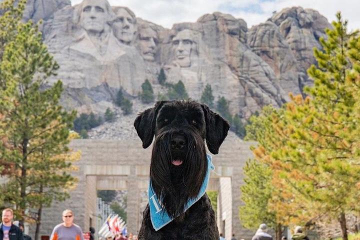Dog-Friendly Mount Rushmore