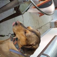 Roast - Craft Coffee & Libations restaurant view 1