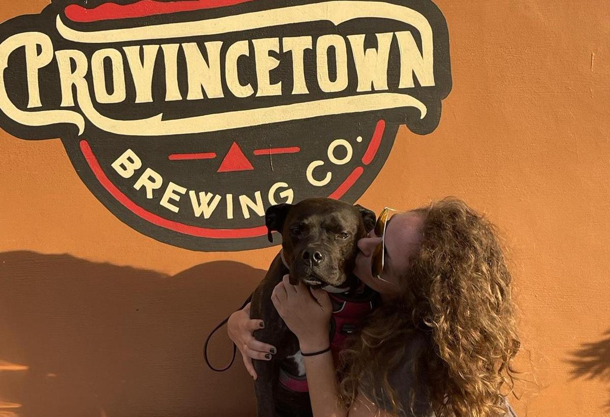 Pet Friendly Provincetown Brewing Co.