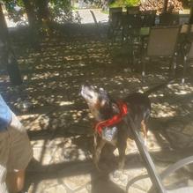 Willie's Tavern restaurant view 2