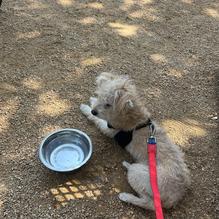 Rogers Roundhouse restaurant view 2