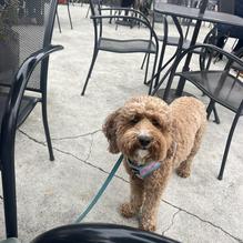 The Birds Cafe restaurant view 3