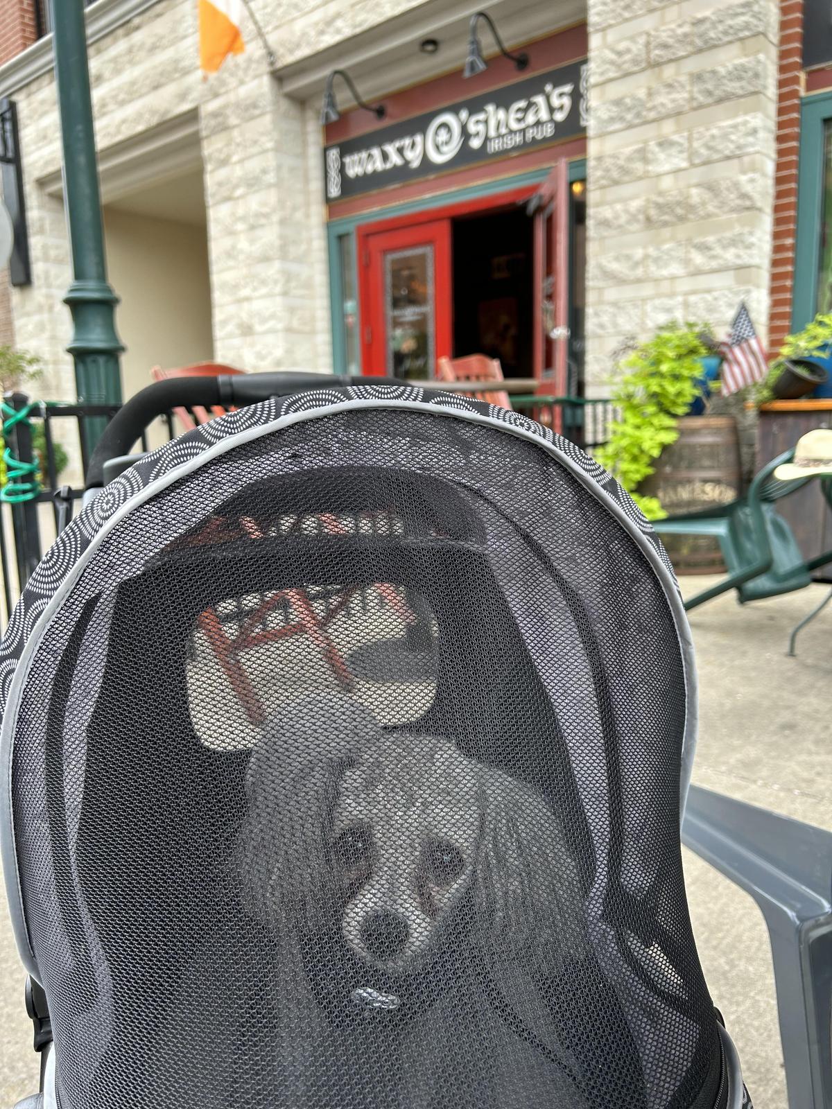 Waxy O'Shea's Irish Pub restaurant view 1