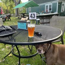 EagleMonk Pub and Brewery restaurant view 1