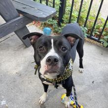 Cedar Restaurant restaurant view 1