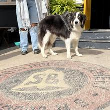 Schoolhouse Brewery restaurant view 1