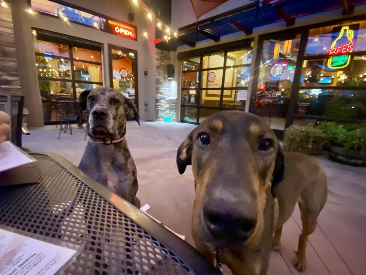 Rivertap Restaurant & Pub restaurant view 1