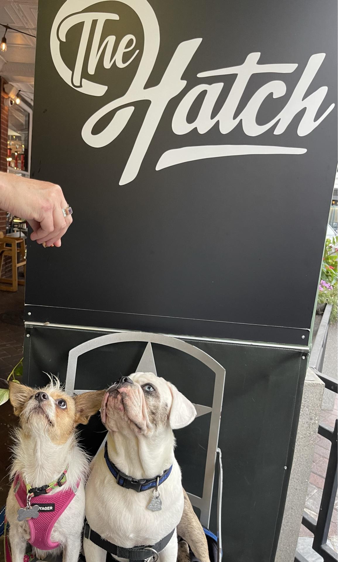 The Hatch restaurant view 2