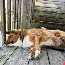 Buzz's Roost restaurant view 1