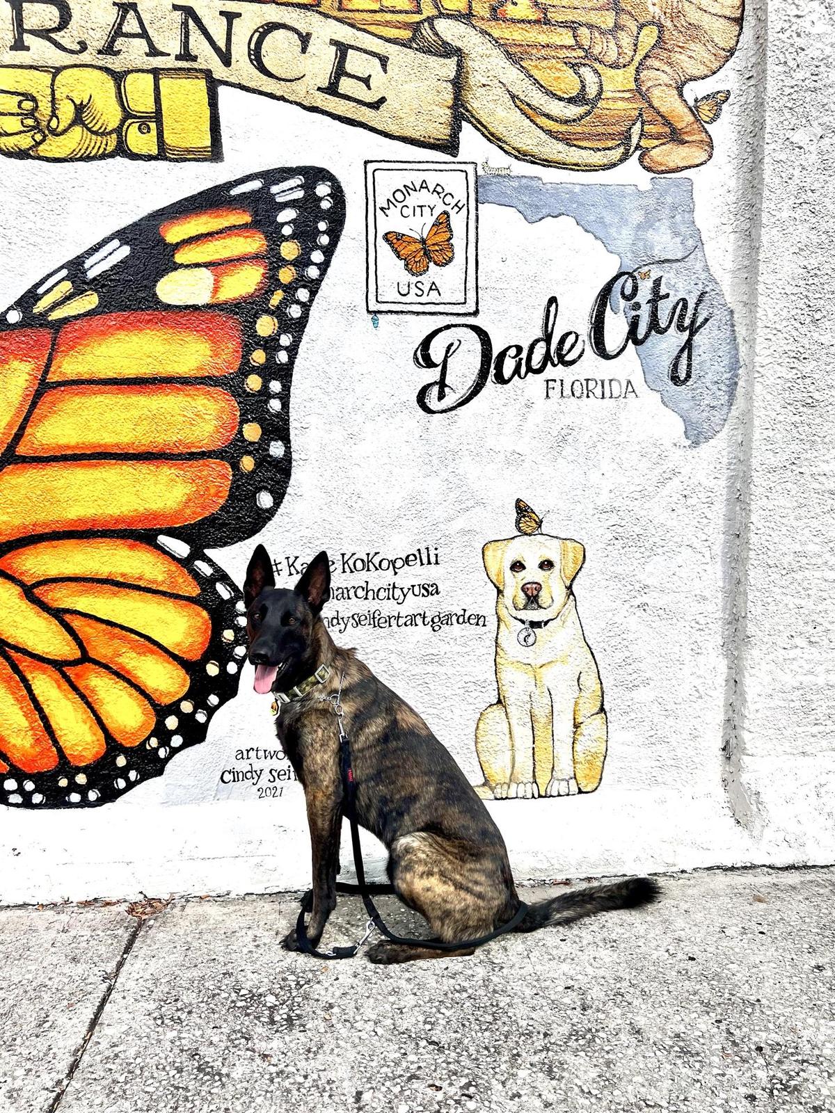 Kafe Kokopelli restaurant view 2