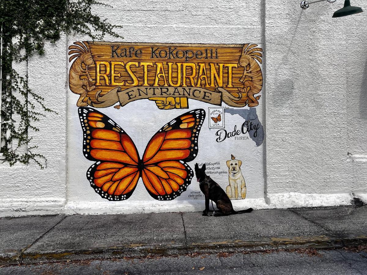 Kafe Kokopelli restaurant view 1