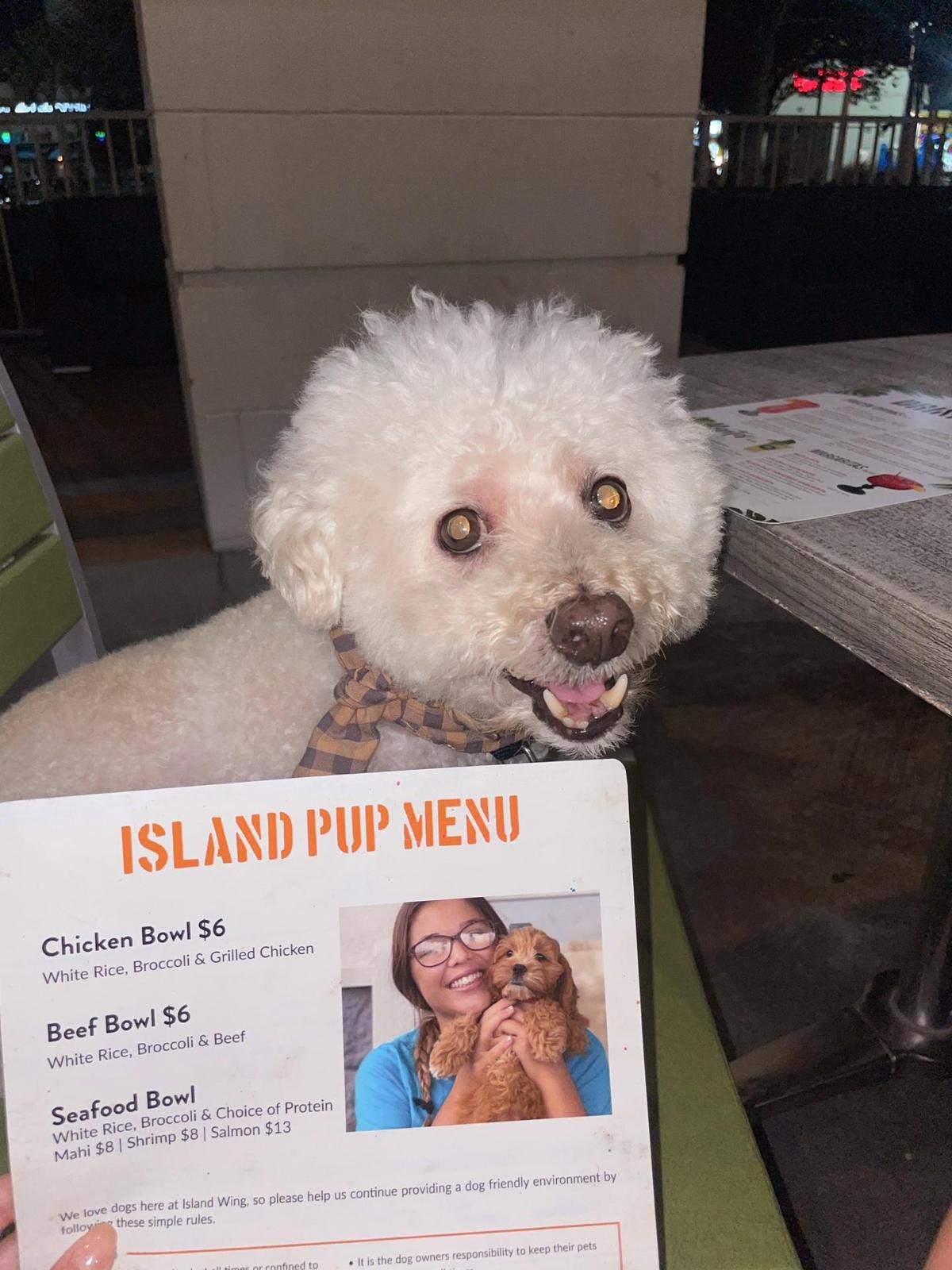 Island Wing Company Grill & Bar restaurant view 2