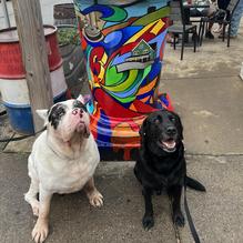 Merle's Whiskey Kitchen restaurant view 1