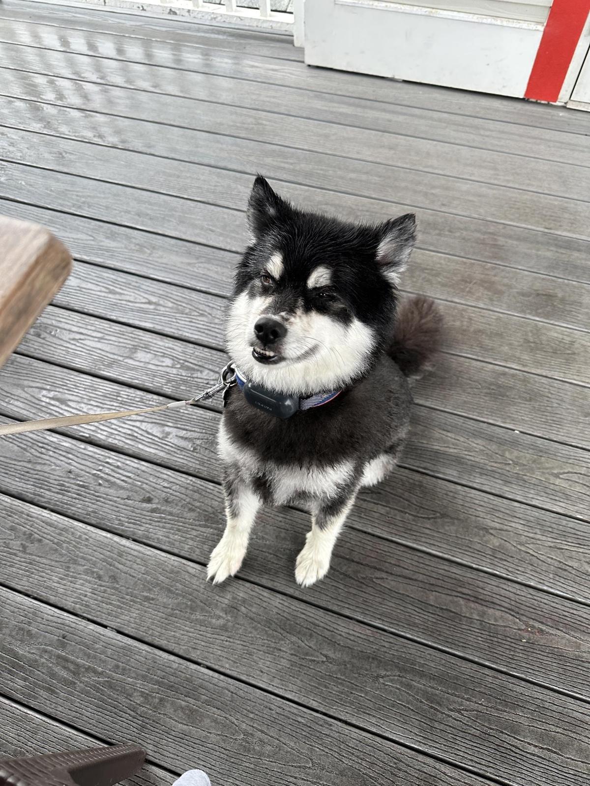 Crabby's Beachside restaurant view 5