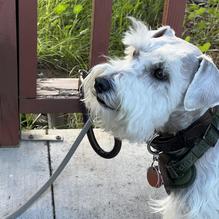 Shipwrecks Bar & Grill restaurant view 1