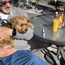 Rustler's Restaurant restaurant view 2