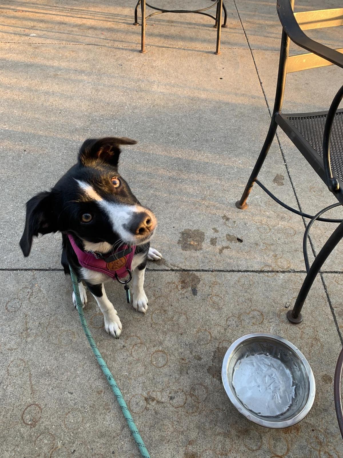 Knub's Pub restaurant view 1