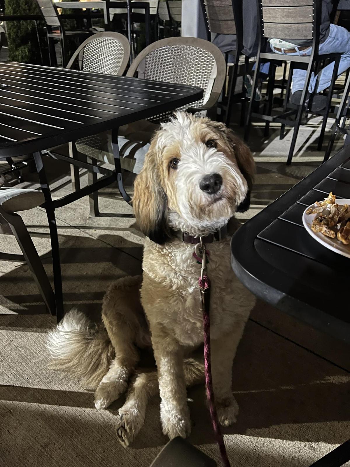 Mean Mugs Pub restaurant view 1