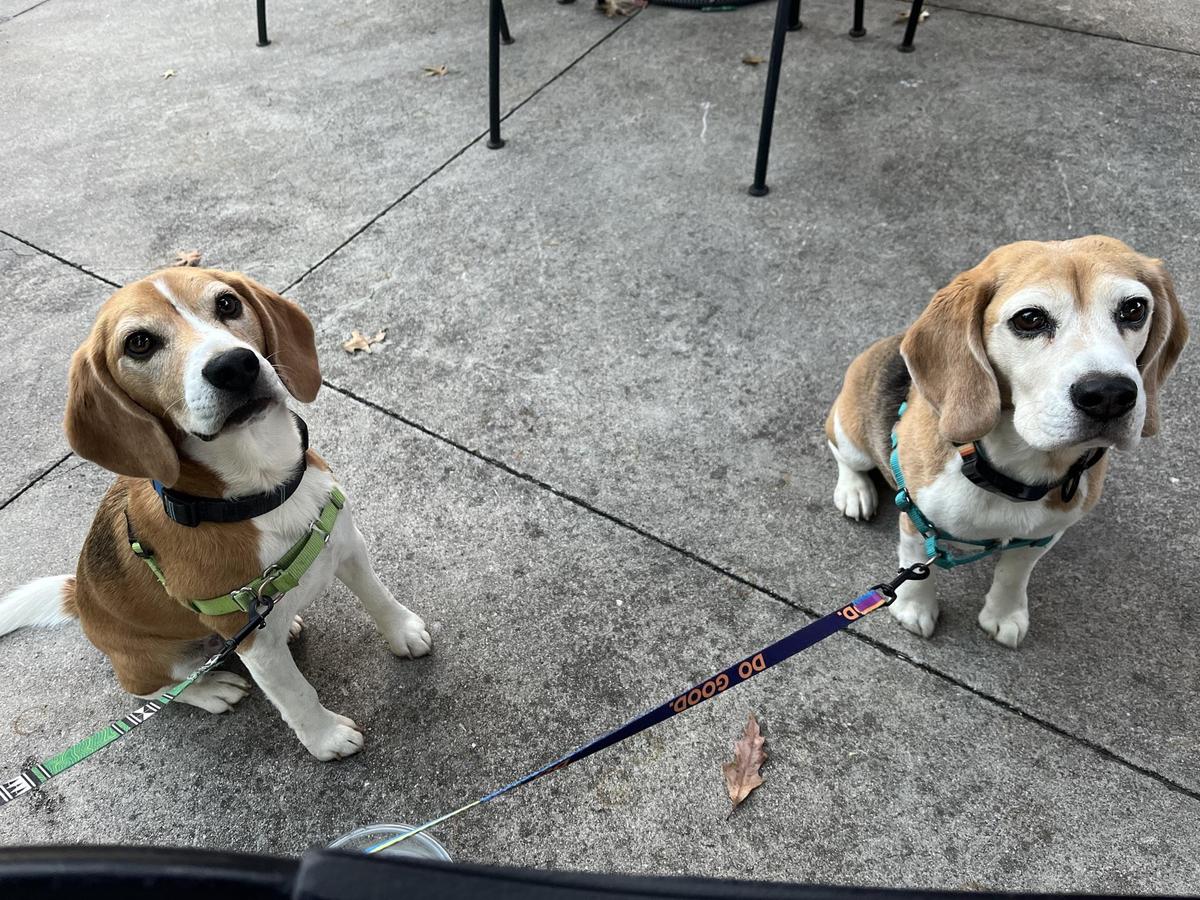 Aubrey's restaurant view 1