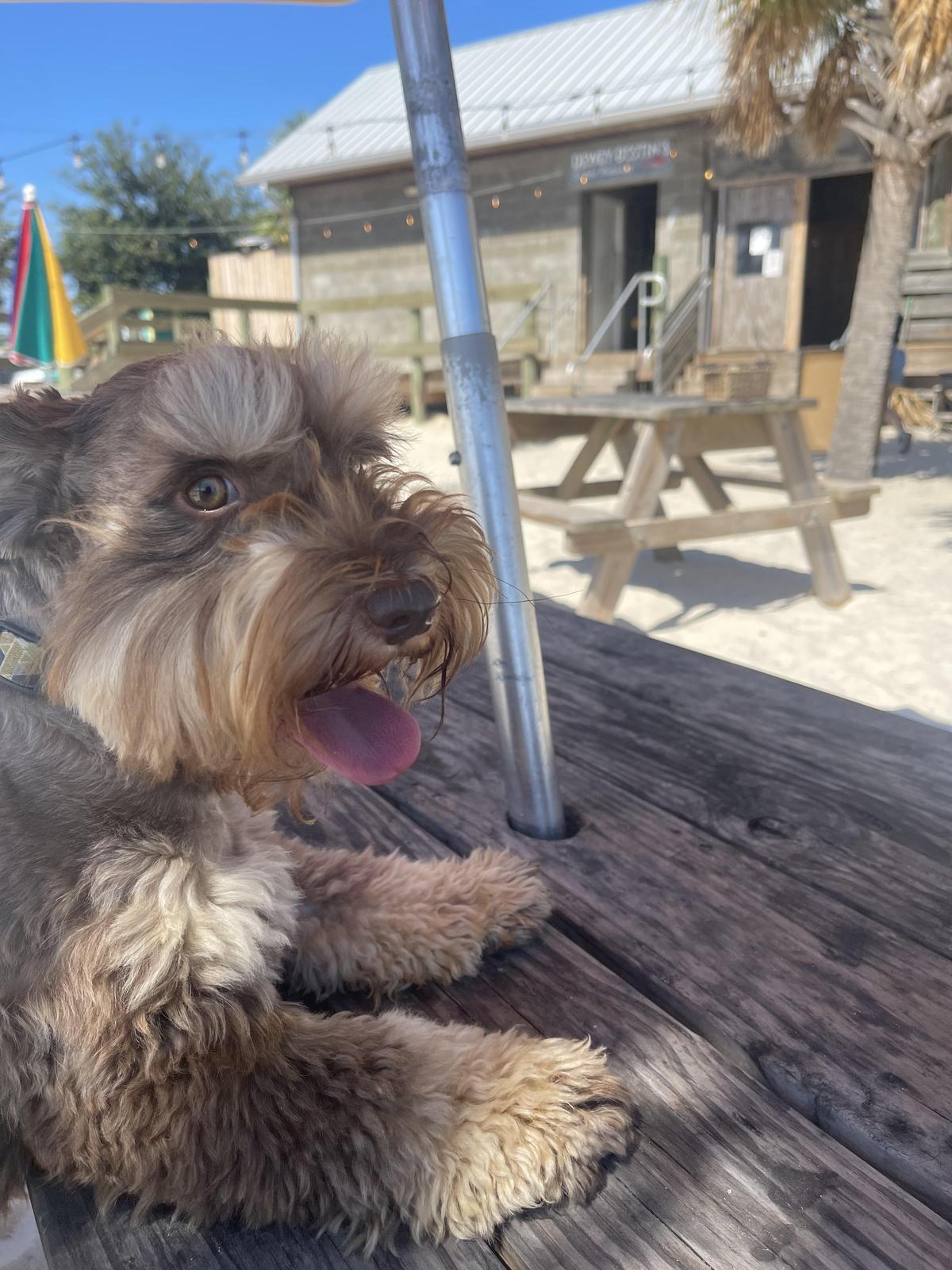 Dewey Destin's restaurant view 1