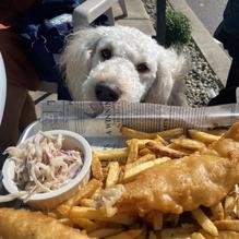 JJ's Fish House restaurant view 1