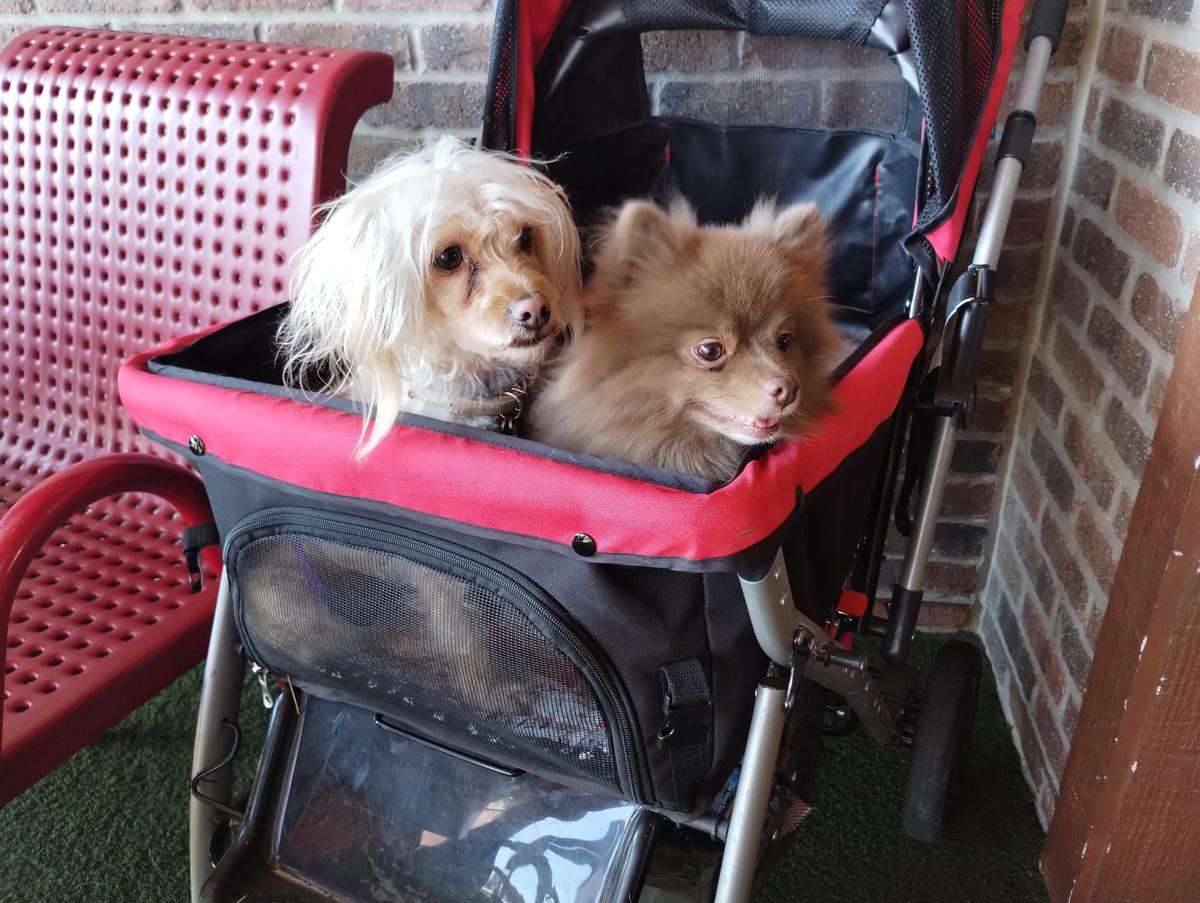 Drake's Evansville restaurant view 1