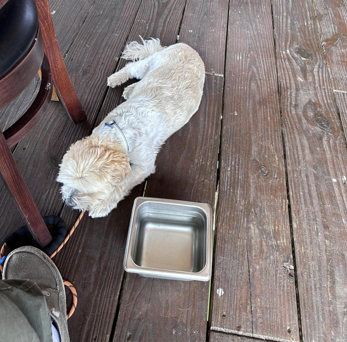 Southern Salt Seafood Company restaurant view 1